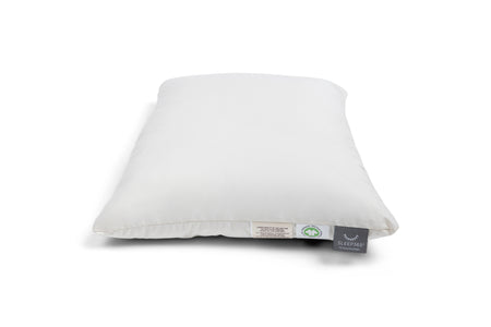 Organic Wool Pillow